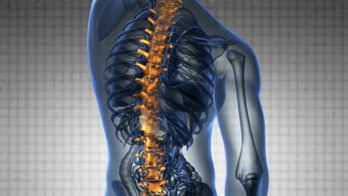 Animated 3D Human Body Spine Pain Medical Scan
