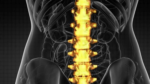 Backache in Back Bones
