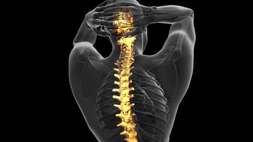 Animated Human Spine with Glowing Vertebrae for Medical Presentations