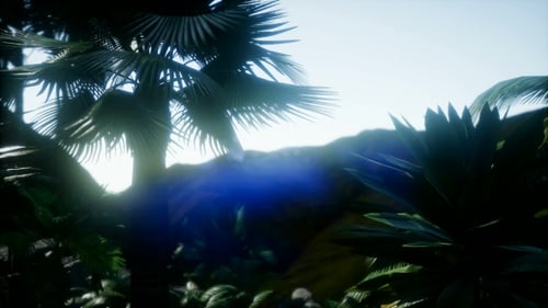 Sunset Beams Through Palm Trees