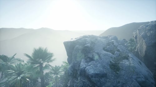 Cinematic Tropical Landscape with Palm Trees and Misty Mountains