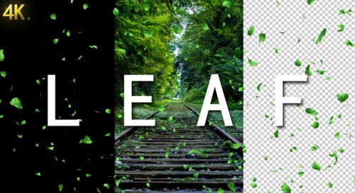 Falling Green Leaves Loopable Animation