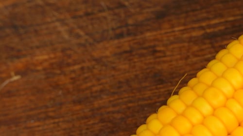 Close Up of Fresh Yellow Corn on Cob