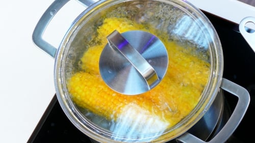 Fresh Yellow Corn Cobs Boiling in Water