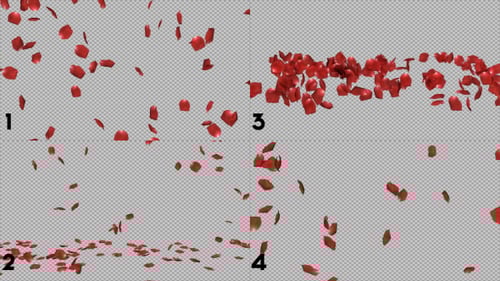 Rose Petals Falling Pack