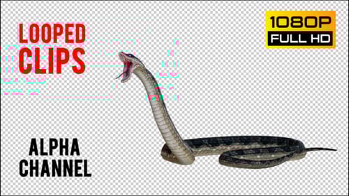Realistic Animated 3D Snake with Dynamic Slithering and Striking