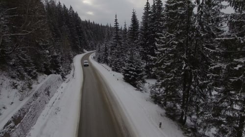 Car Driving on Winter Country Road in Snowy Forest, Aerial View From Drone