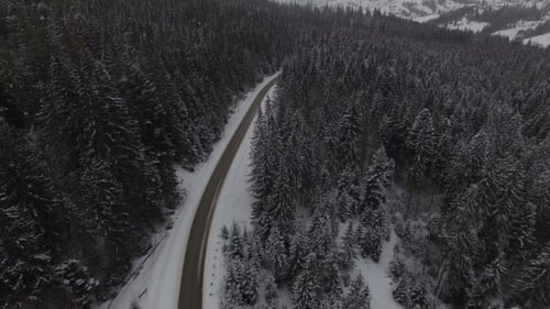 Beautiful Aerial View Above the Winter Road