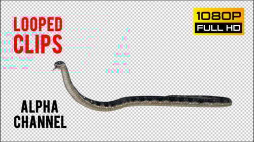 Snake 3 Realistic Pack 3