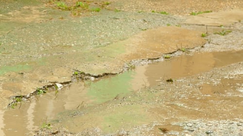 Young Child Splashing in Muddy Puddle After Rain