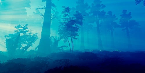 Panorama Of The Morning Forest