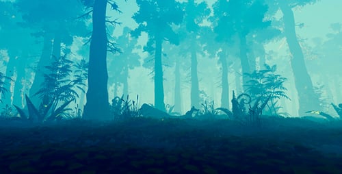Panorama de la forêt brumeuse