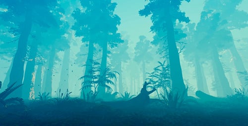 Movement Through The Mysterious Forest