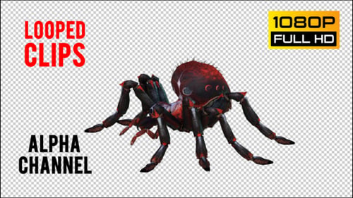 Spider 4 Realistic Pack 5