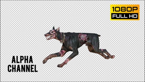 Dog Zombie 1 Realistic Pack 5