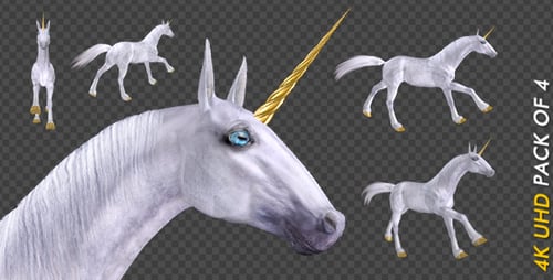 Einhorn — Galopp-Schleife — 4 Stück — 4K