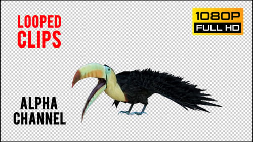 Tukan 2 Realistic Pack 4