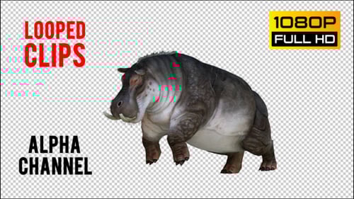 Animated Prehistoric Entelodont Creature Alpha Channel Loop Pack