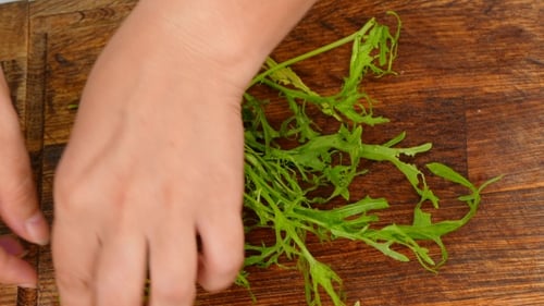 La main déchire la roquette sur la salade