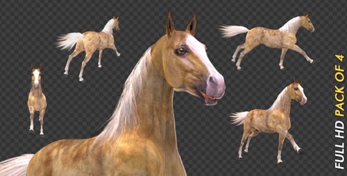 Caballo Palomino - Galop Loop - Paquete de 4