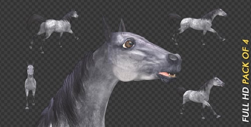 Gray Horse - Gallop Loop - Pack of 4