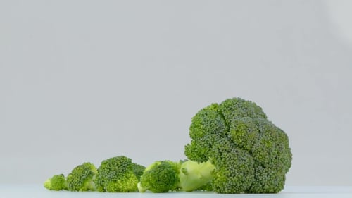 Fresh Green Broccoli Florets on Display