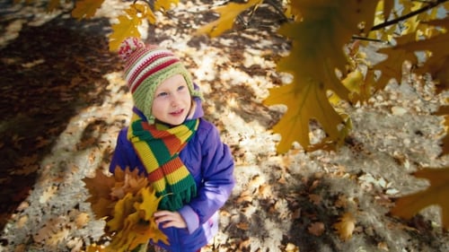 Little Girl in the Autumn Park Laughs and Tears the Leaves of the Tree