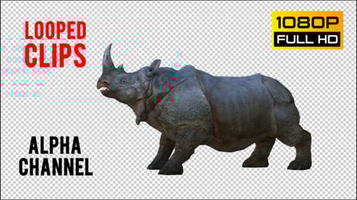 3D Animated Rhinoceros Walking and Roaring Alpha Channel