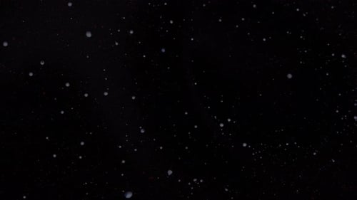 Sequins on a Black Background