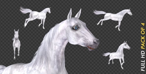 White Horse - Gallop Loop - Pack of 4