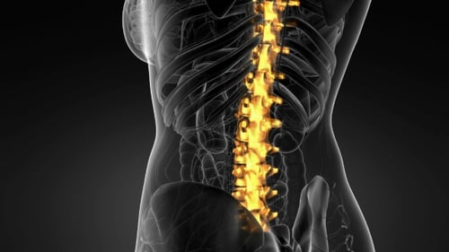 Backache in Back Bones