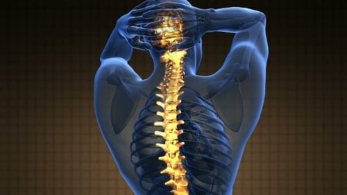 Animated Glowing Human Spine Anatomy X-Ray Scan