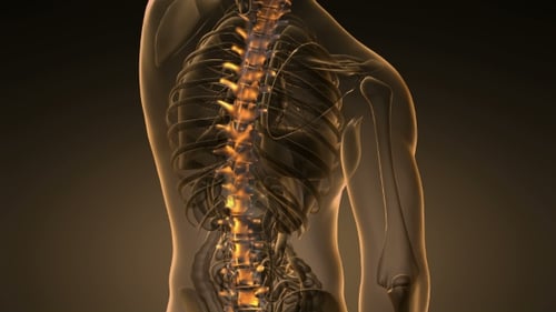Backache in Back Bones