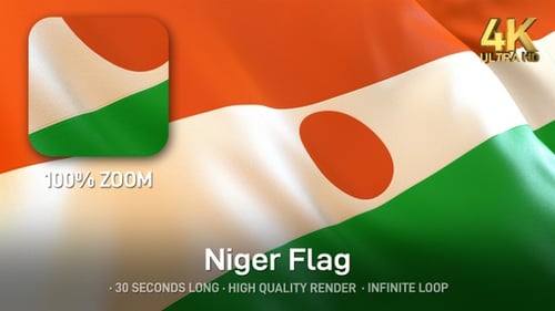 Niger National Flag Waving in Seamless Loop Animation