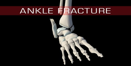 Human Foot and Ankle Skeleton Bones 3D Anatomical Rotation