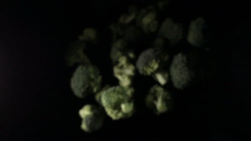 Green Broccoli Florets Tossed on Black Background