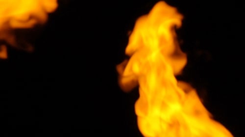 Burning Flames Dance on Black Background