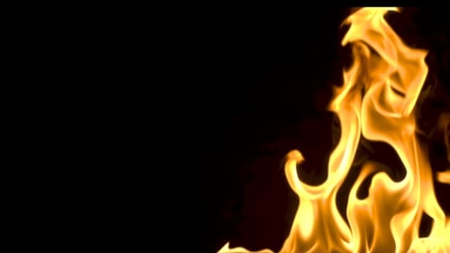 Golden Flames Dancing on Black Background