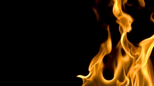 Burning Golden Flames on Black Background