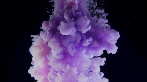 Purple Ink Dissolving in Water on Black Background