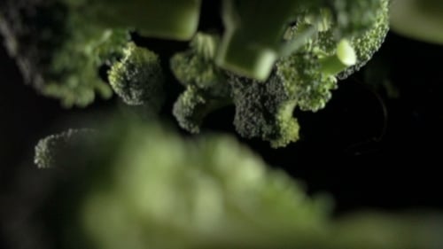 Fresh Broccoli Florets Falling in Slow Motion