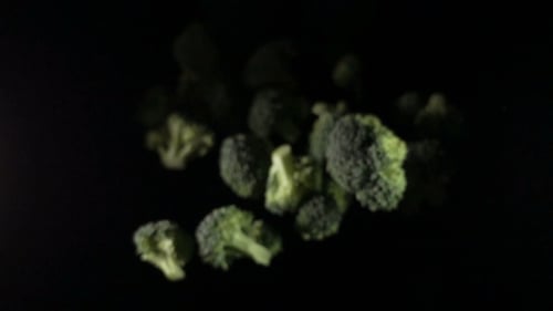 Fresh Broccoli Florets Fall in Slow Motion