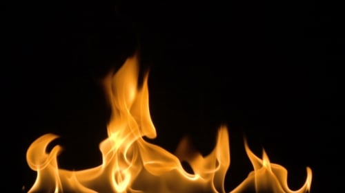 Feuer isoliert auf schwarzem Hintergrund