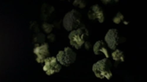 Floating Broccoli Florets on Black Background