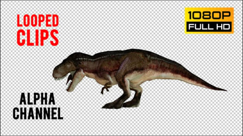 3D Animated Tyrannosaurus Rex Walking and Roaring Alpha Channel