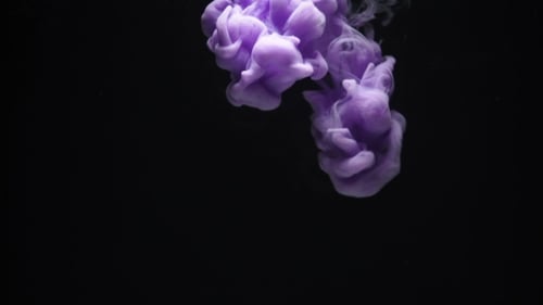 Lilac Ink Cloud in Water Isolated on Black