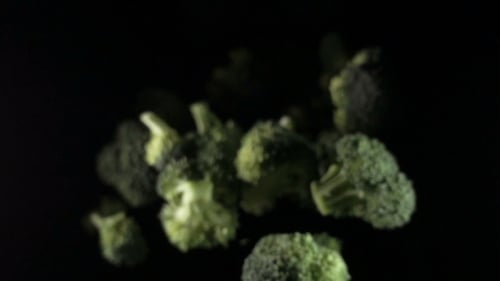 Fresh Green Broccoli Pieces Floating Upward