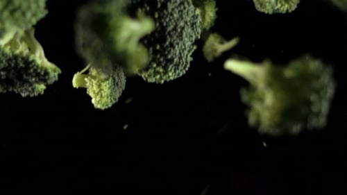 Green Broccoli Florets. Broccoli on a Black Background