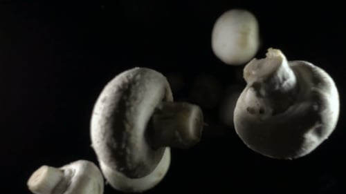 Mushrooms Drop Downward on Black Background