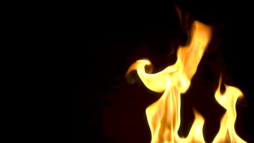 Golden Fire Flames Dance on Black Background